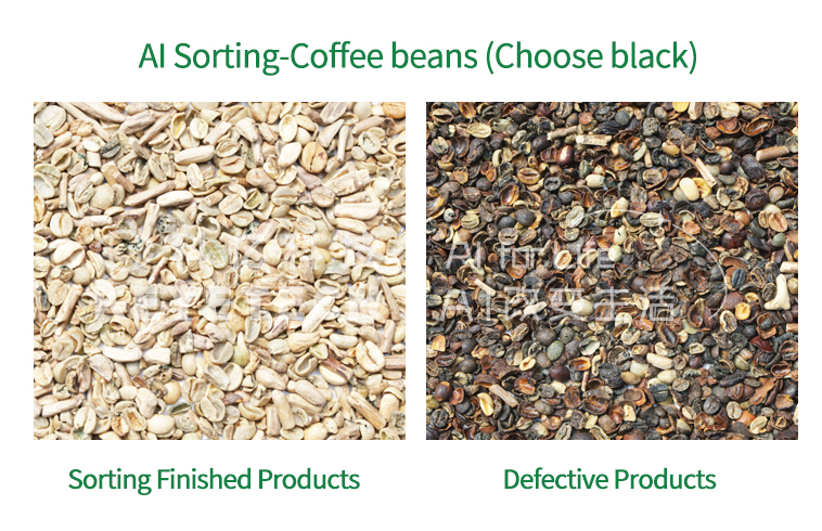 AI Intelligent Coffee Cherry Sorting removing black and discoloured coffee beans from a coffee lot