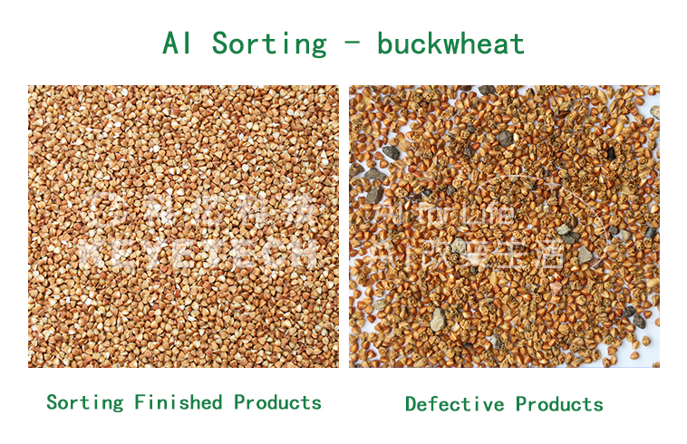 Buckwheat sample showing colour variation and foreign material sorted by AI intelligent sorting