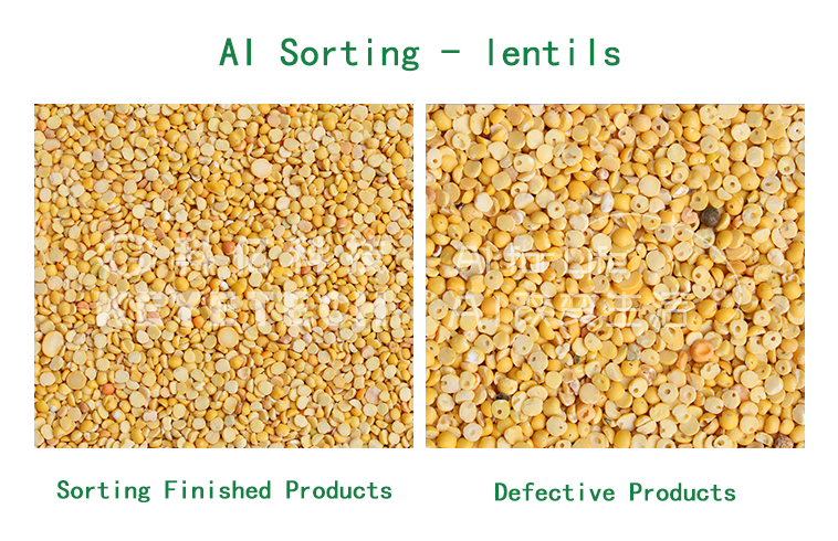 AI sorting lentils for defects