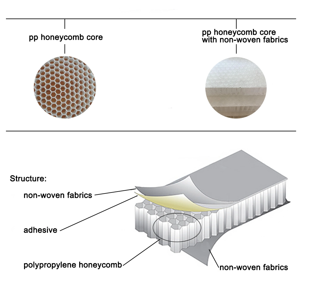 PP honeycomb sheet cross-section showing hexagonal structure.