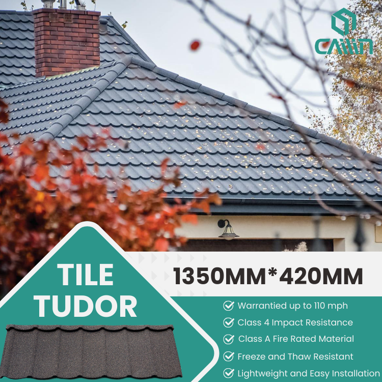 tudor<p class=