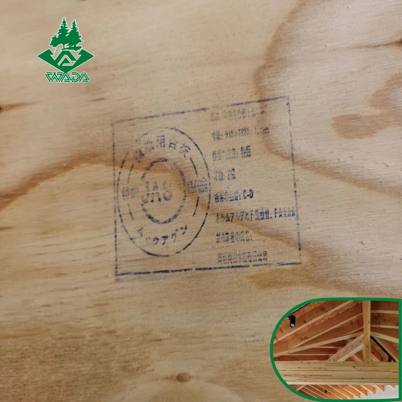 Structure Plywood for construction