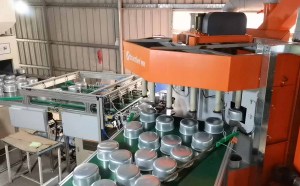 Cookware Automatic Painting Line