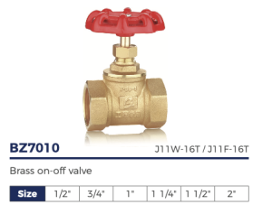 Brass Globe Valve