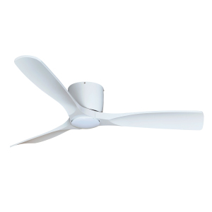 decorative ceiling fan