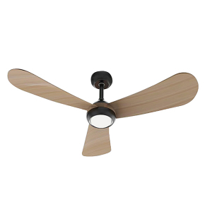 decorative ceiling fan