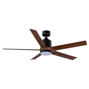 decorative ceiling fan