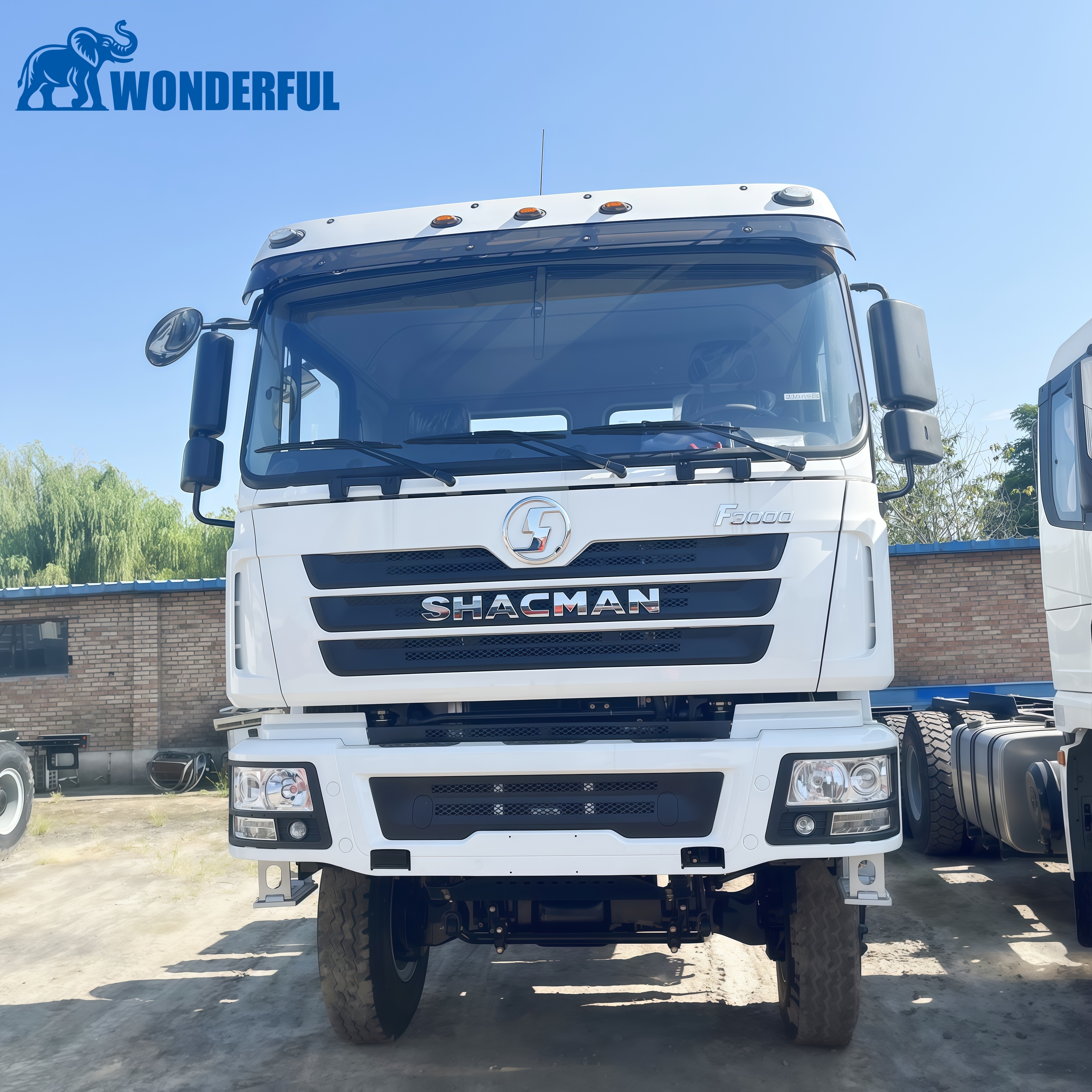 SHACMAN F3000 tractor truck side view