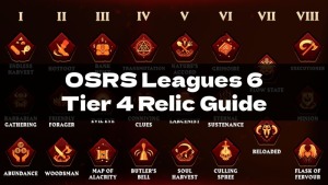 rsorder company 