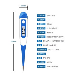 Digital Thermometer
