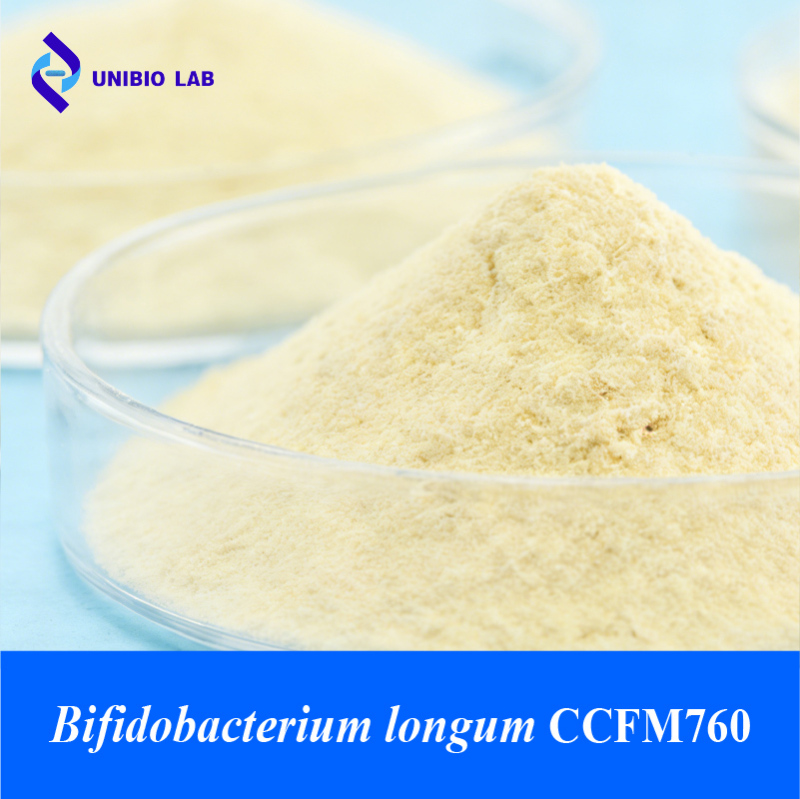 Bifidobacterium longum CCFM760 probiotic raw powder for constipation relief