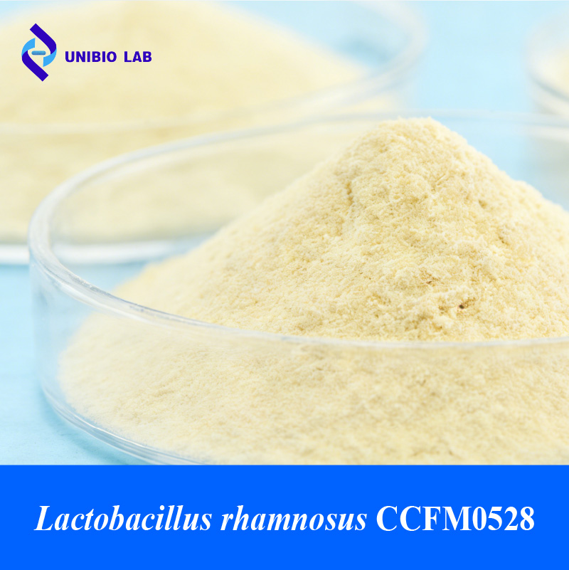 Lactobacillus rhamnosus CCFM0528 probiotic powder sample