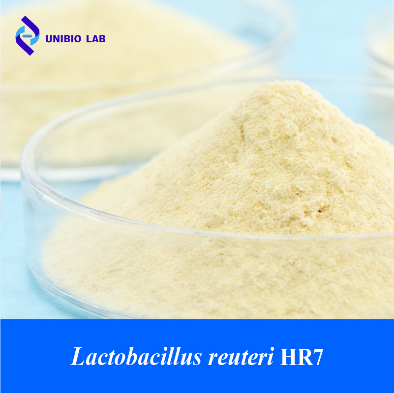 Lactobacillus reuteri HR7 probiotic raw powder product image