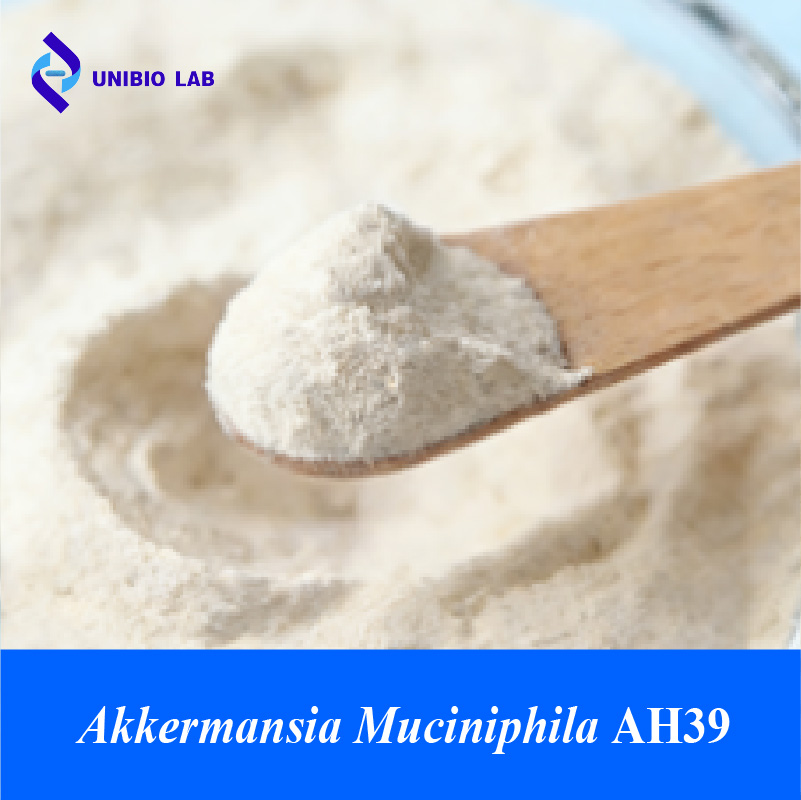 Akkermansia muciniphila AH39 high-purity probiotic powder