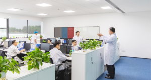 Office Area