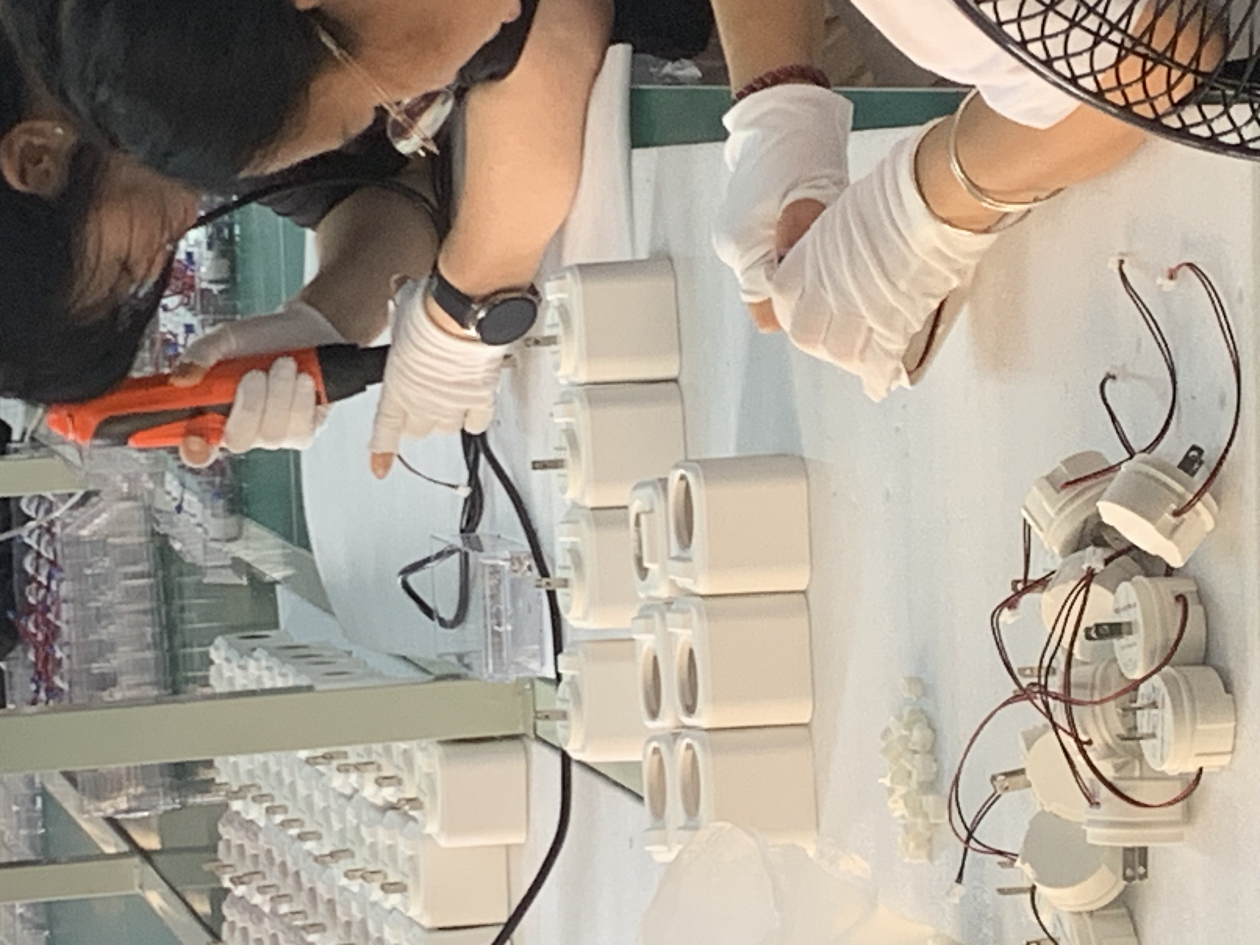 SCENTSEA Product Assembly Line