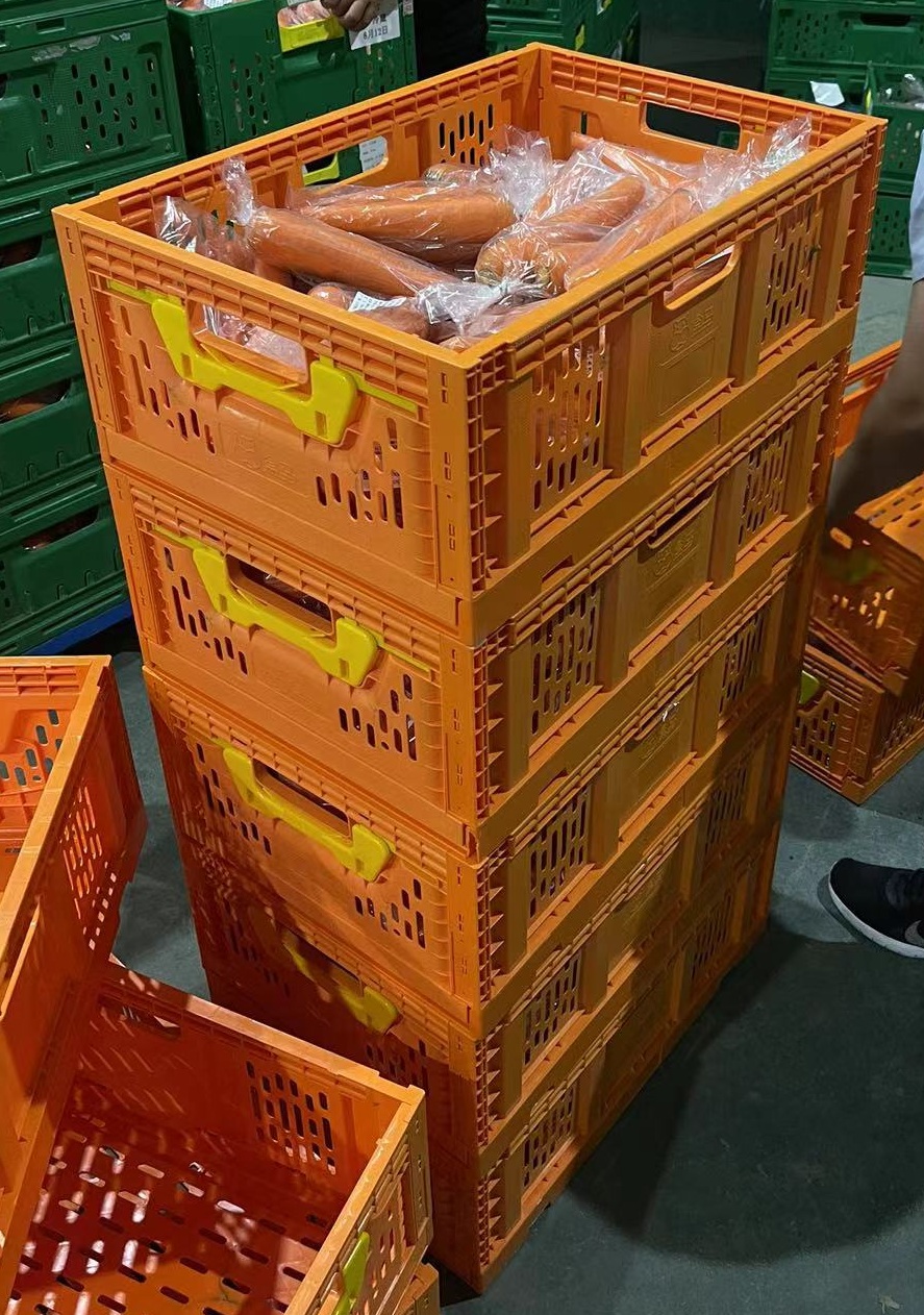 Collapsible plastic crate TSS-SFD used in agricultural harvest and retail display