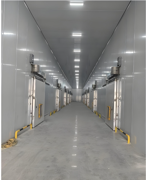 Food processing cold storage application scene