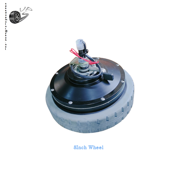 8Inch 24V300W motor with brake