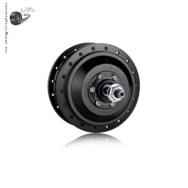 48V 500W Spoke Brushless DC Wheel Hub Motor with Gear Reduction