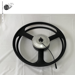 Magnesium alloy integrated wheel Motor
