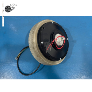 8inch Brushless Wheel Hub Motor
