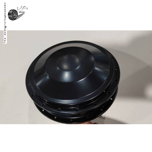 Brushed Hub Motor
