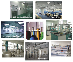 Factory workshop