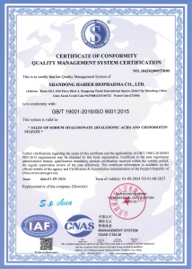 ISO 9001 Quality Management System Certificate