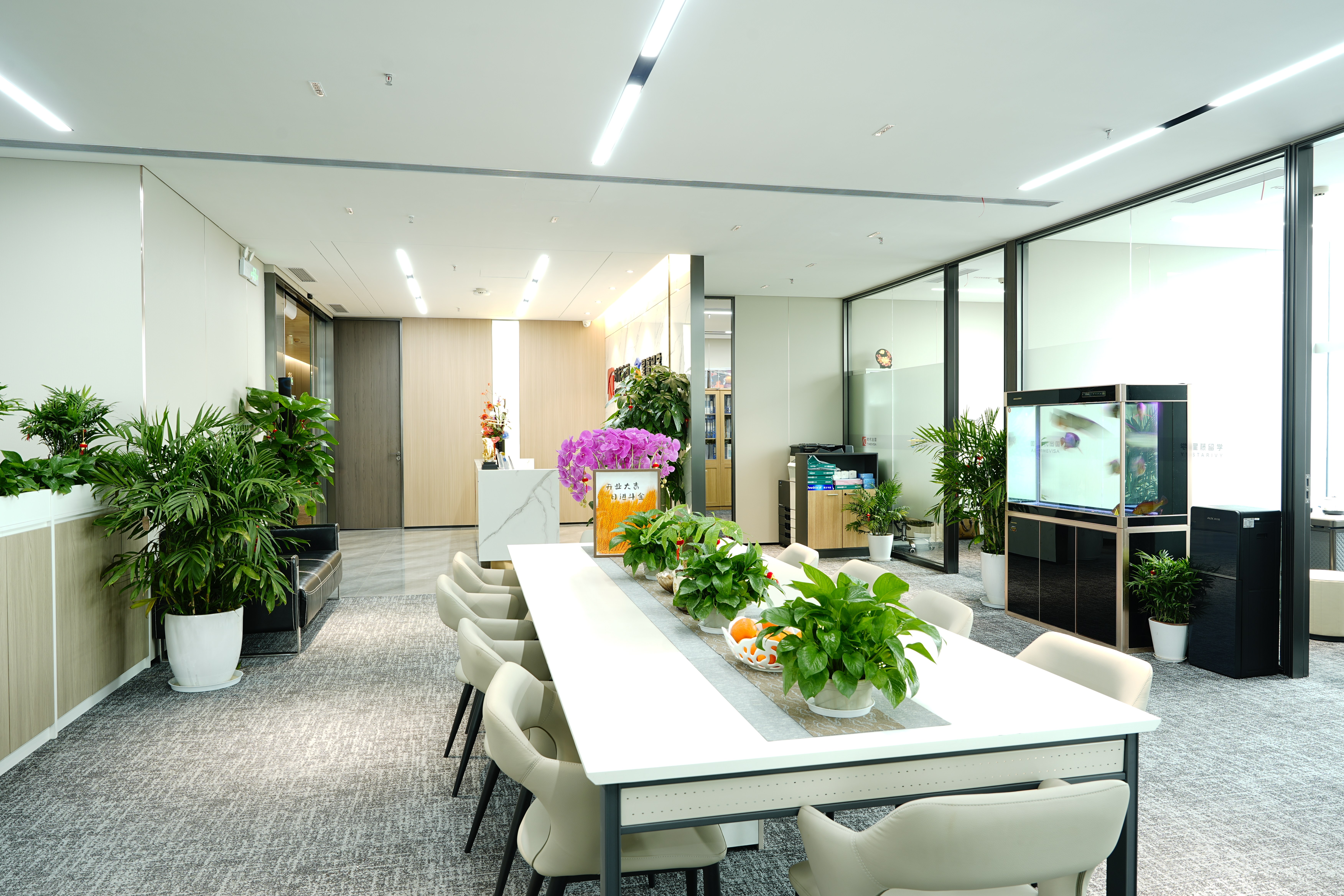 Times Immigration Shenzhen Office Environment