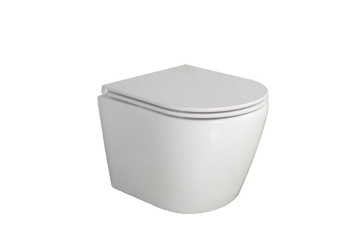 Wall hung ceramic toilet with rimless design and washdown flushing