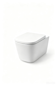 Ceramic Sanitary Ware