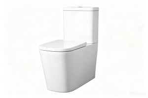 Ceramic Sanitary Ware