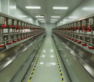 Production Line 