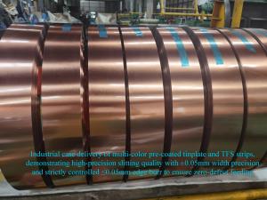 Automated High-Speed Hardware Stamping Plant & Metal Packaging Can-Maker