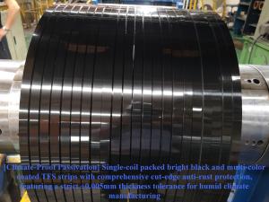 Precision Slit Tinplate Strips & Ultra-Thin Tin Free Steel (TFS) Coils