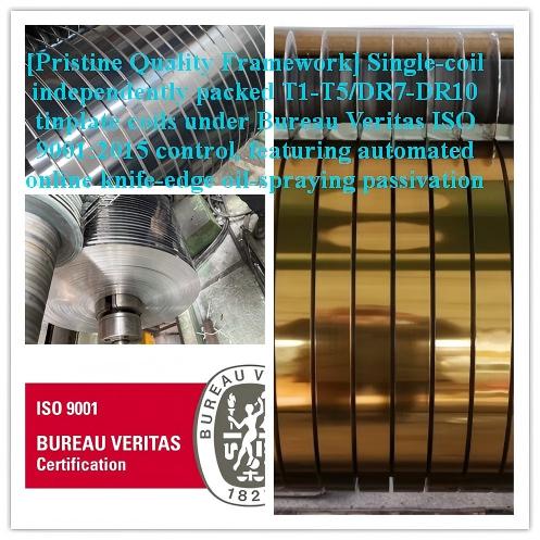 BV certified tinplate coil protective packaging for food can supply