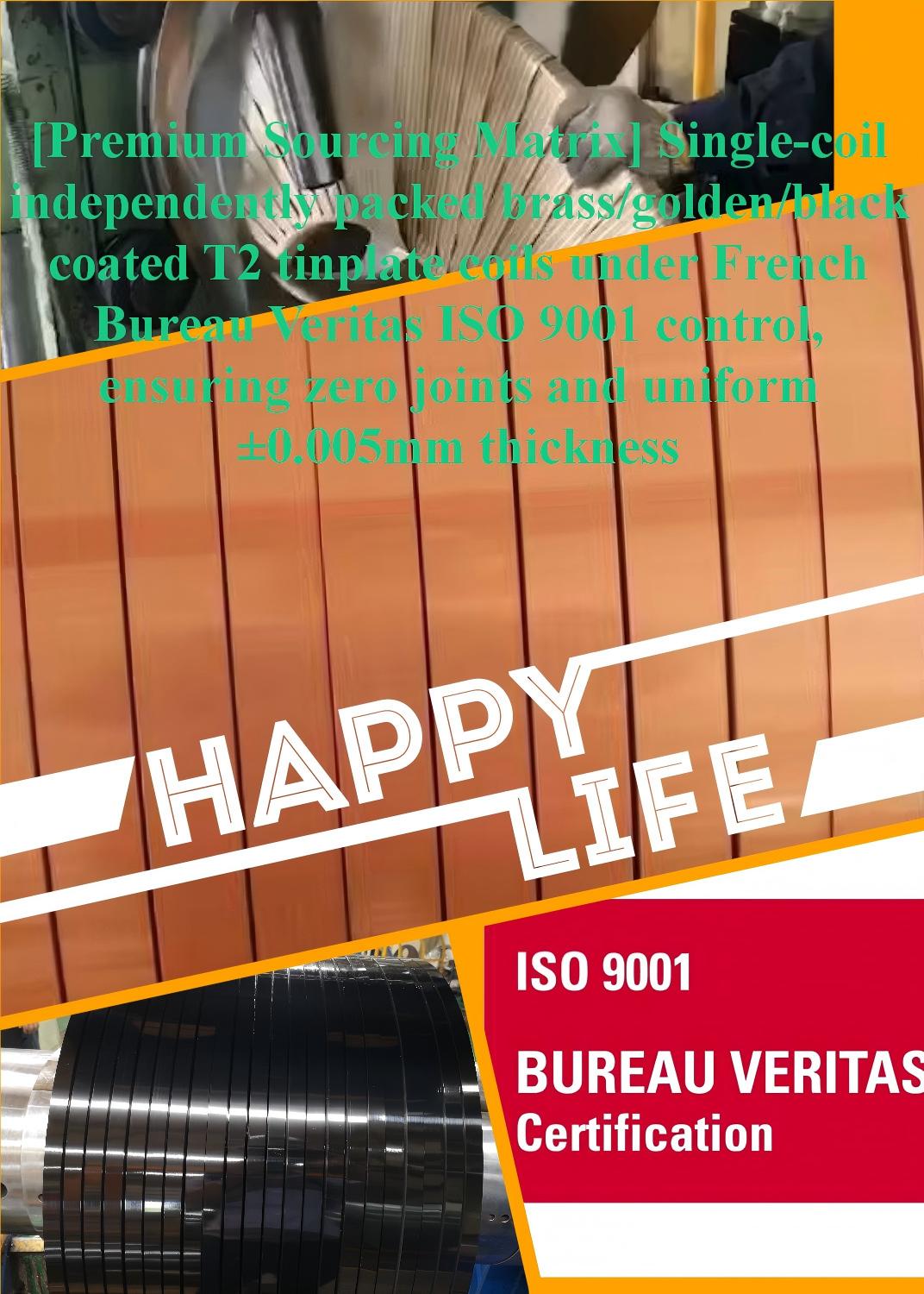 BV certified T2 tinplate coil in single packaging