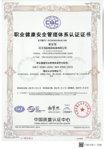 ISO 45001:2018