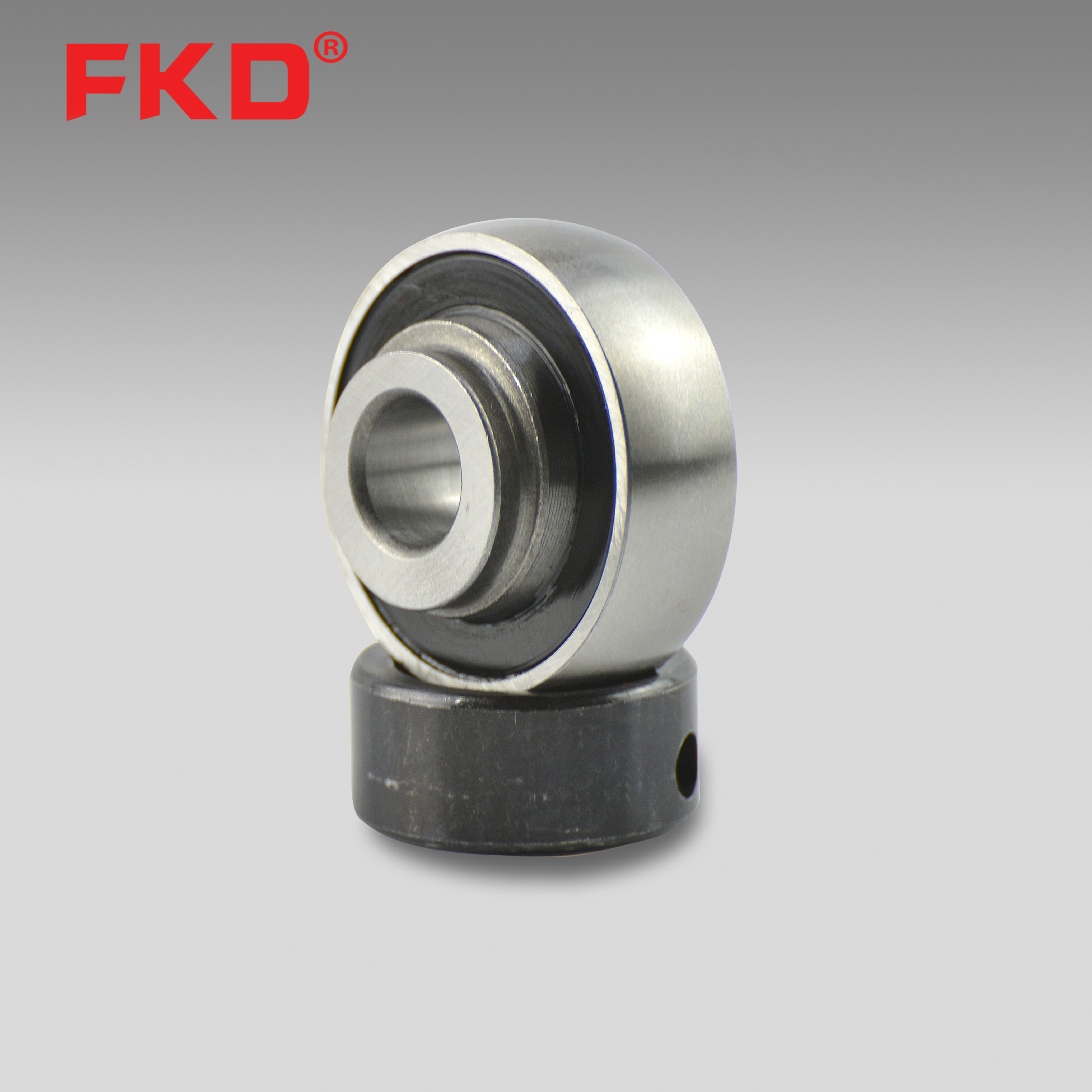 BALL BEARING WITH ECCENTRIC COLLAR