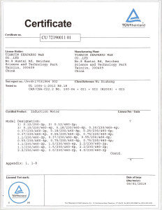TÜV Rheinland UL Safety Certificate for Induction Motor