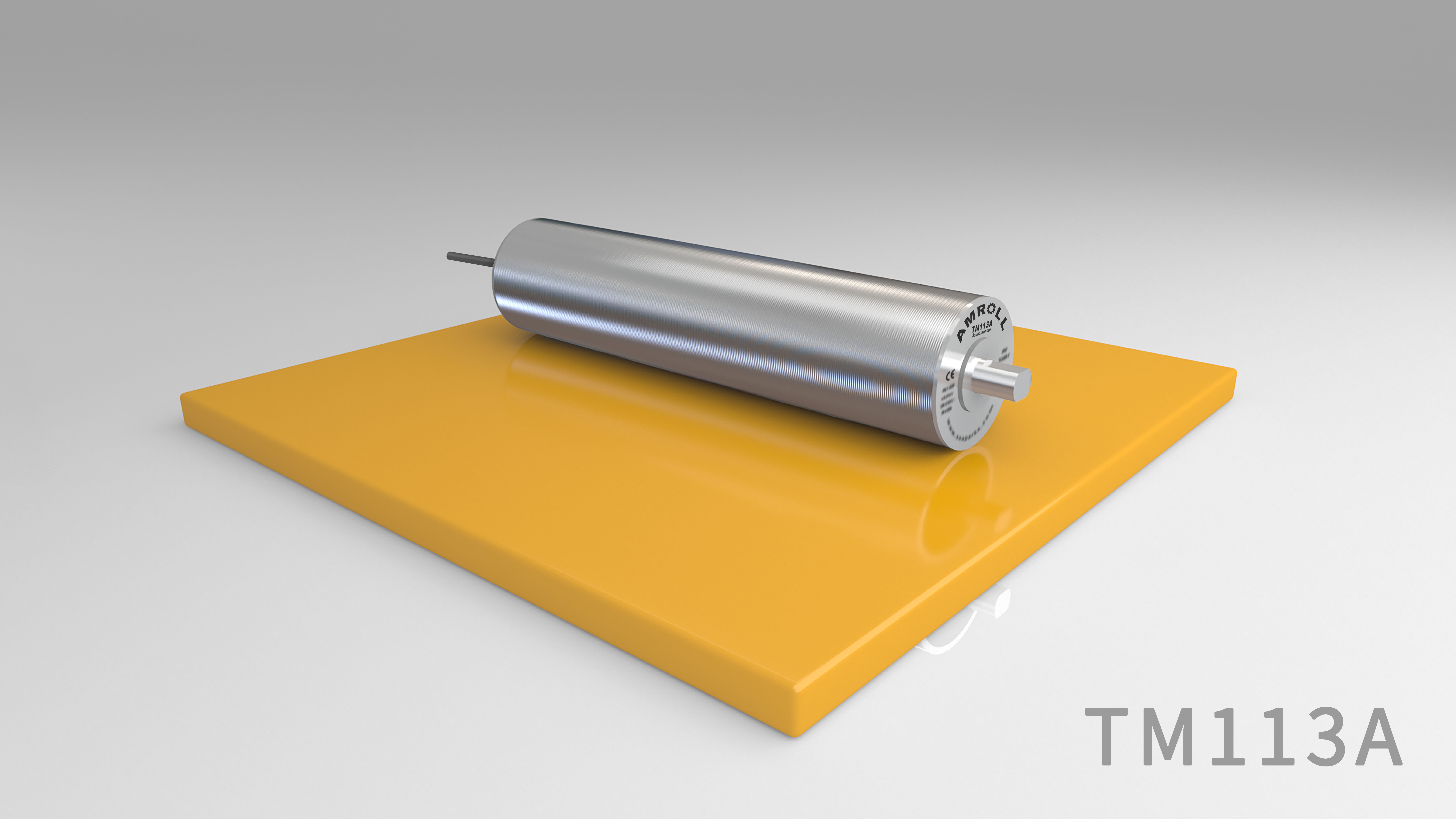 TM113A product diagram<p class=