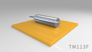 Hygienic Drum Motor