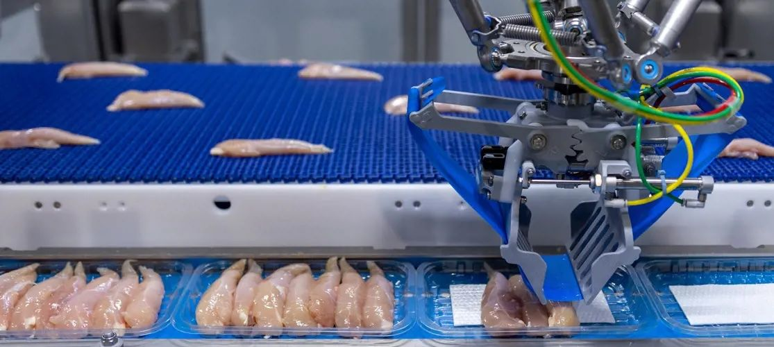 Food processing conveyor with SEAPARKS hygienic drum motor handling product sorting