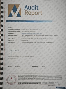 SGS Made-in-China Supplier Audit Report