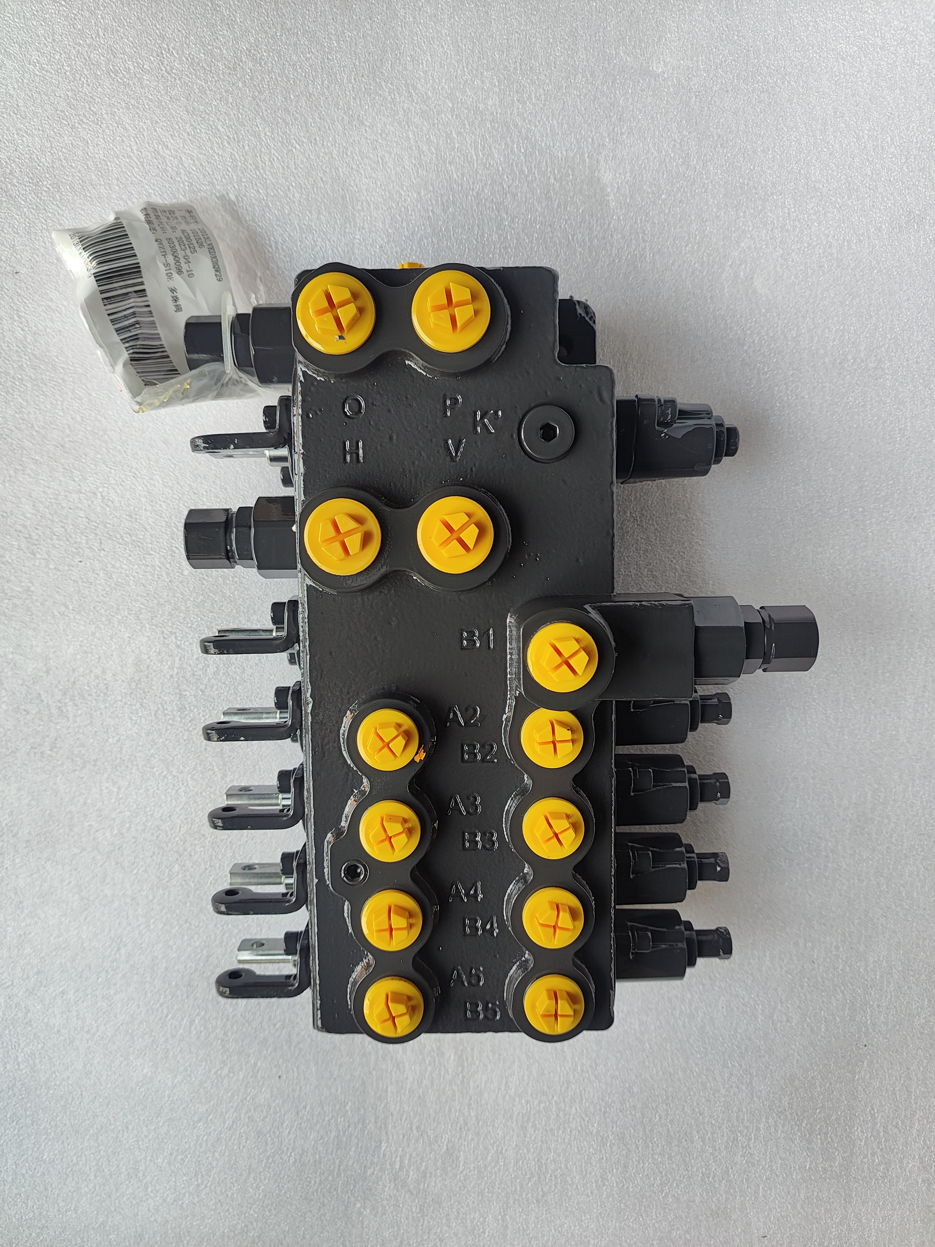 Multiway valve  QYZTF-S10E 803000096 (1)