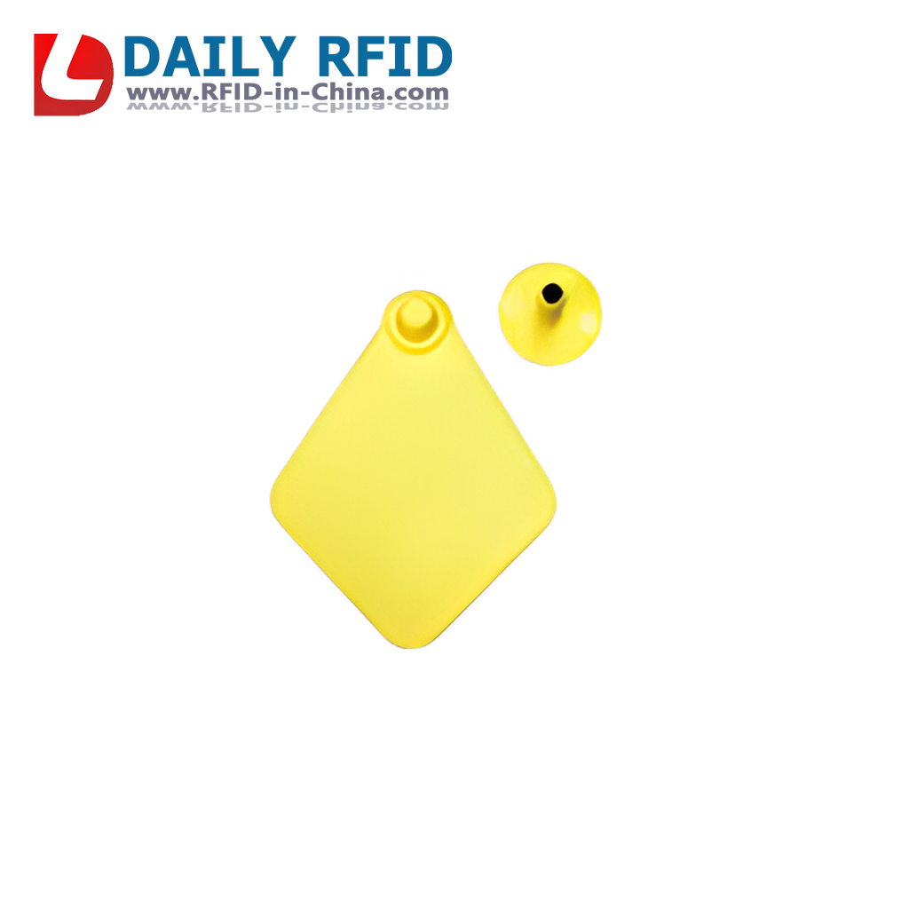 Animal tags 8<p class=