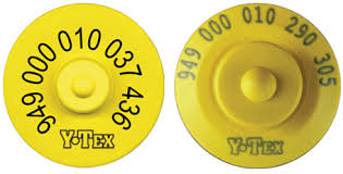 RFID Tags for Pig<p class=