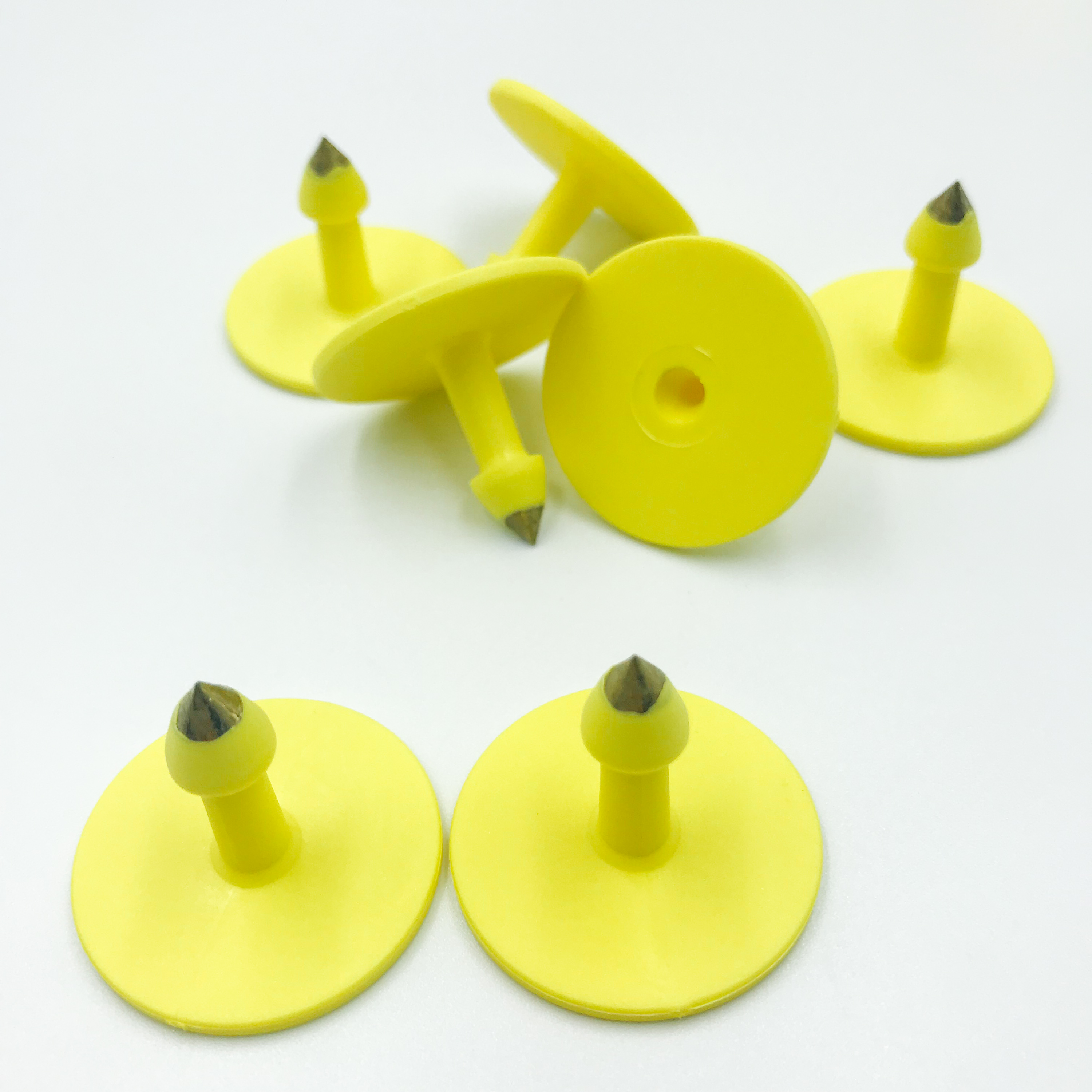 UHF Anti-allergic RFID Livestock Ear Tag (2)<p class=