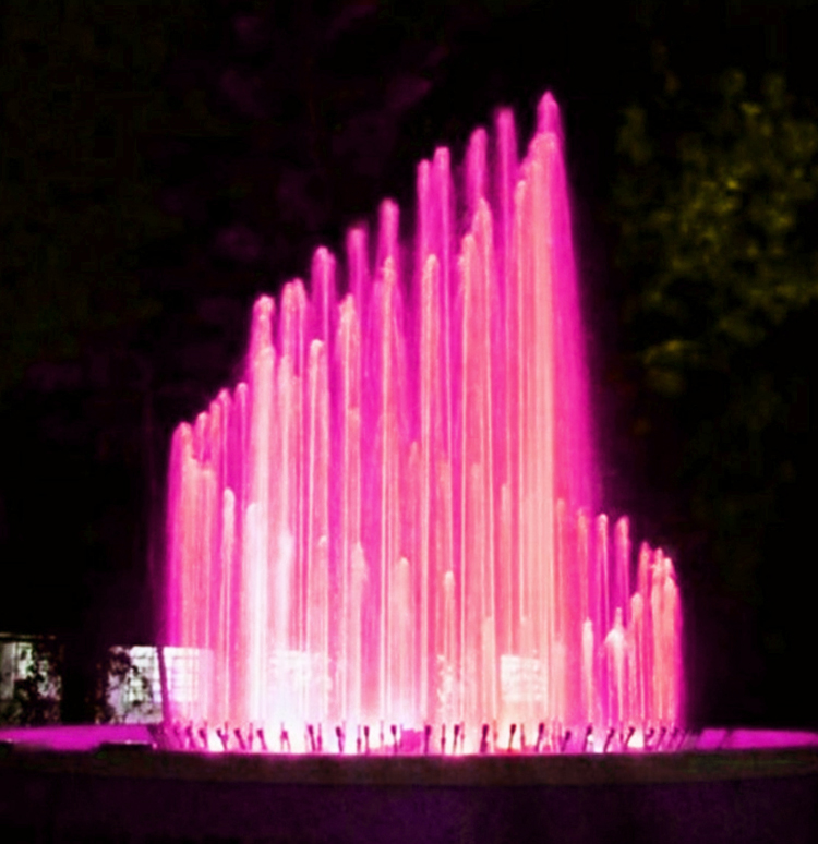 Outdoor Dancing Fountain
An outdoor dancing fountain features programmable water jets, synchronized music, and intelligent lighting to create dynamic performances in parks, plazas, commercial centers, and tourist attractions. Custom designs can be tailored to different landscapes and project requirements.